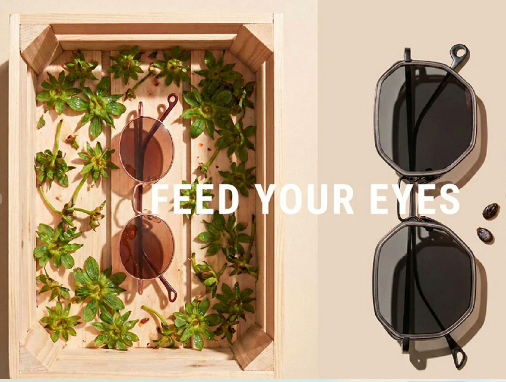 Visuel Eyepetizer